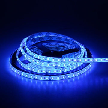 Banda Led 2835 - 120led/m, Exterior - DC 12V 9,6W/ml, 5m/rola, Albastru - Frize