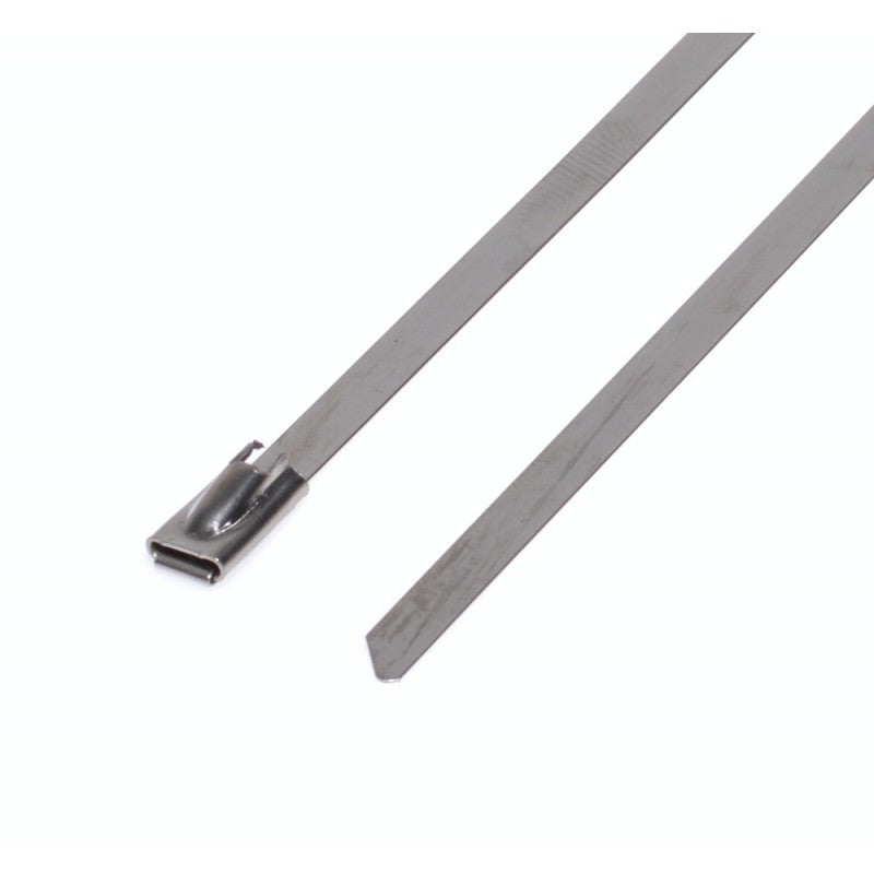 Colier de Inox 4,6 x 200mm, 20Buc/Set - Frize