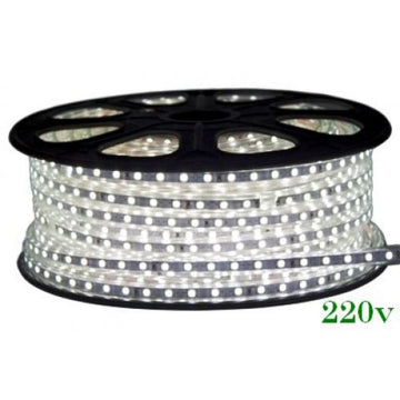 Banda Led 220V 6400K 4.8W/M Ip65 60Led/M 2835
