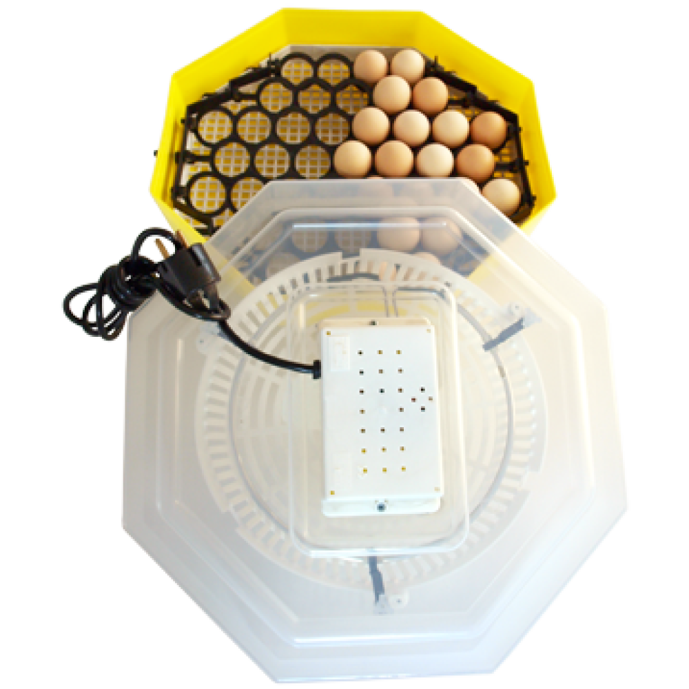 Cleo Inkubátor Tojásforgató Készülékkel