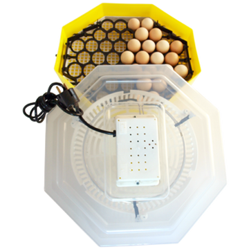 Cleo Inkubátor Tojásforgató Készülékkel