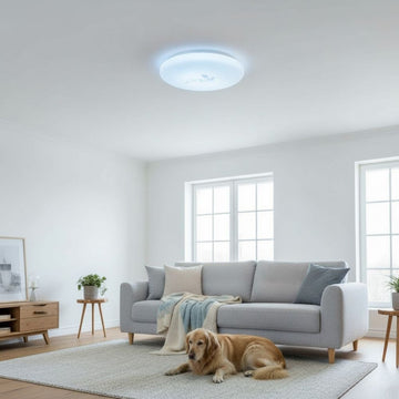 Plafonieră LED Flower, Ø230mm, 13W, 6500K, Lumină Rece