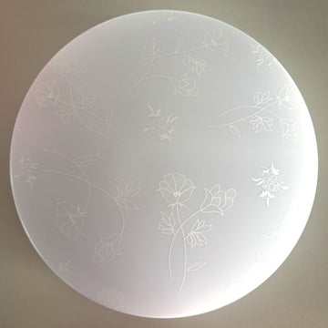 Plafonieră LED Flower, Fi260 13W (Echivalent 75W), 6400K, Lumină Rece