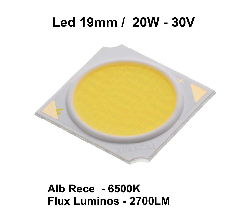 Led Cob 19mm, Putere 20W - Frize