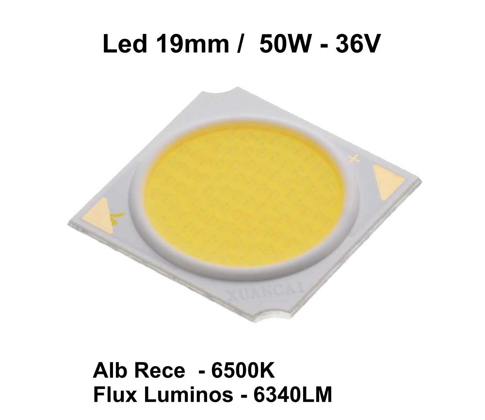 Led Cob 19mm, Putere 50W - Frize